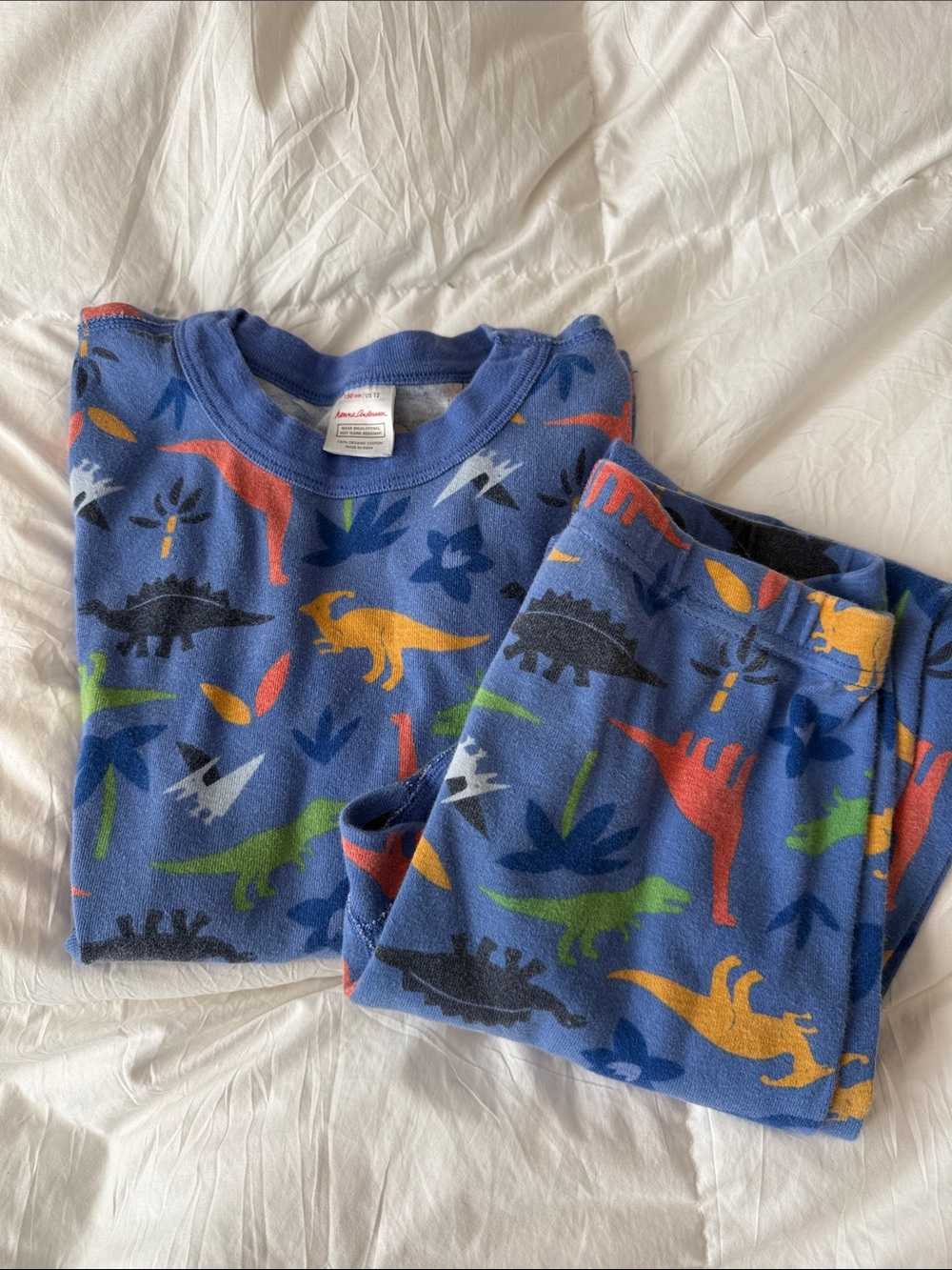 Hanna Andersson Blue Dinosaur Pajama Set